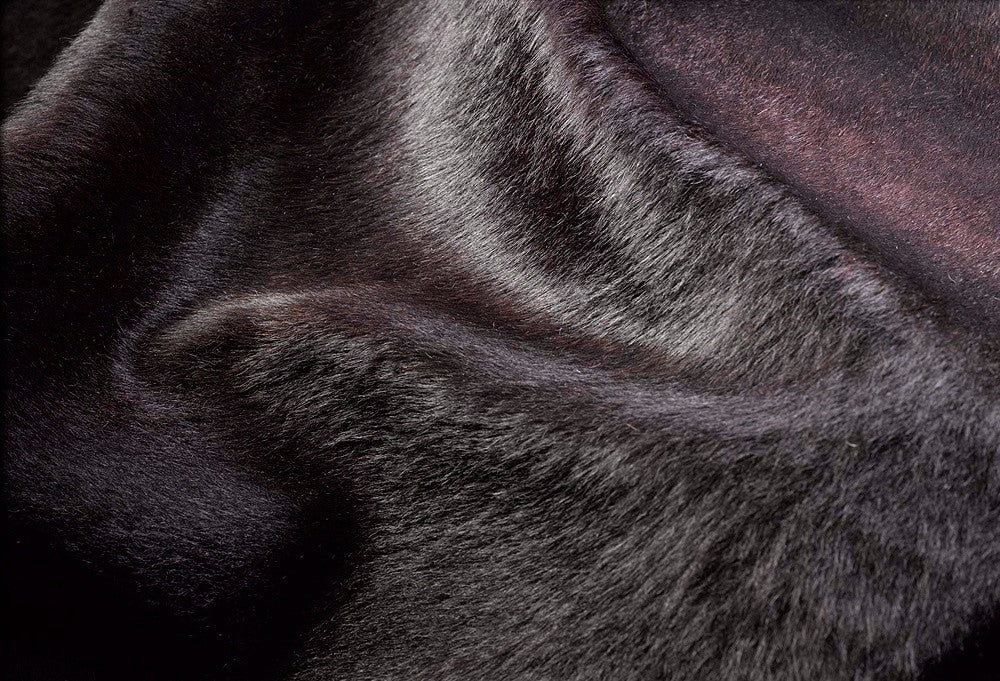 Solid Dark Chocolate Dyed Cowhide Rug close up