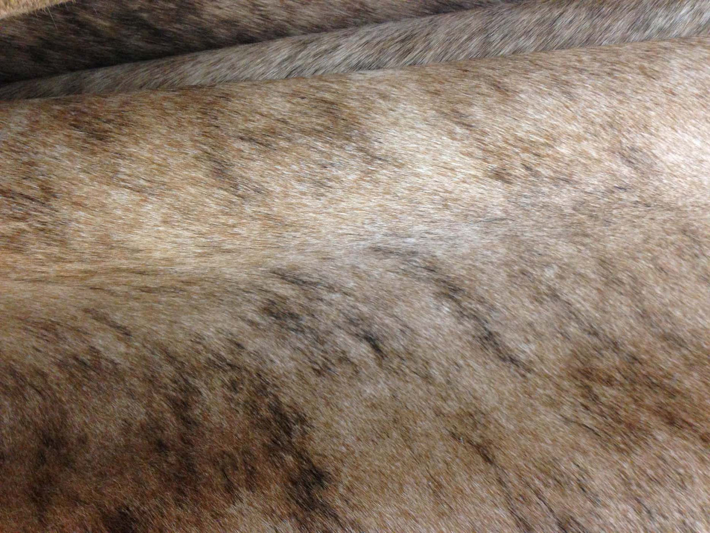 Light Tan Brindle Cowhide Rug close up
