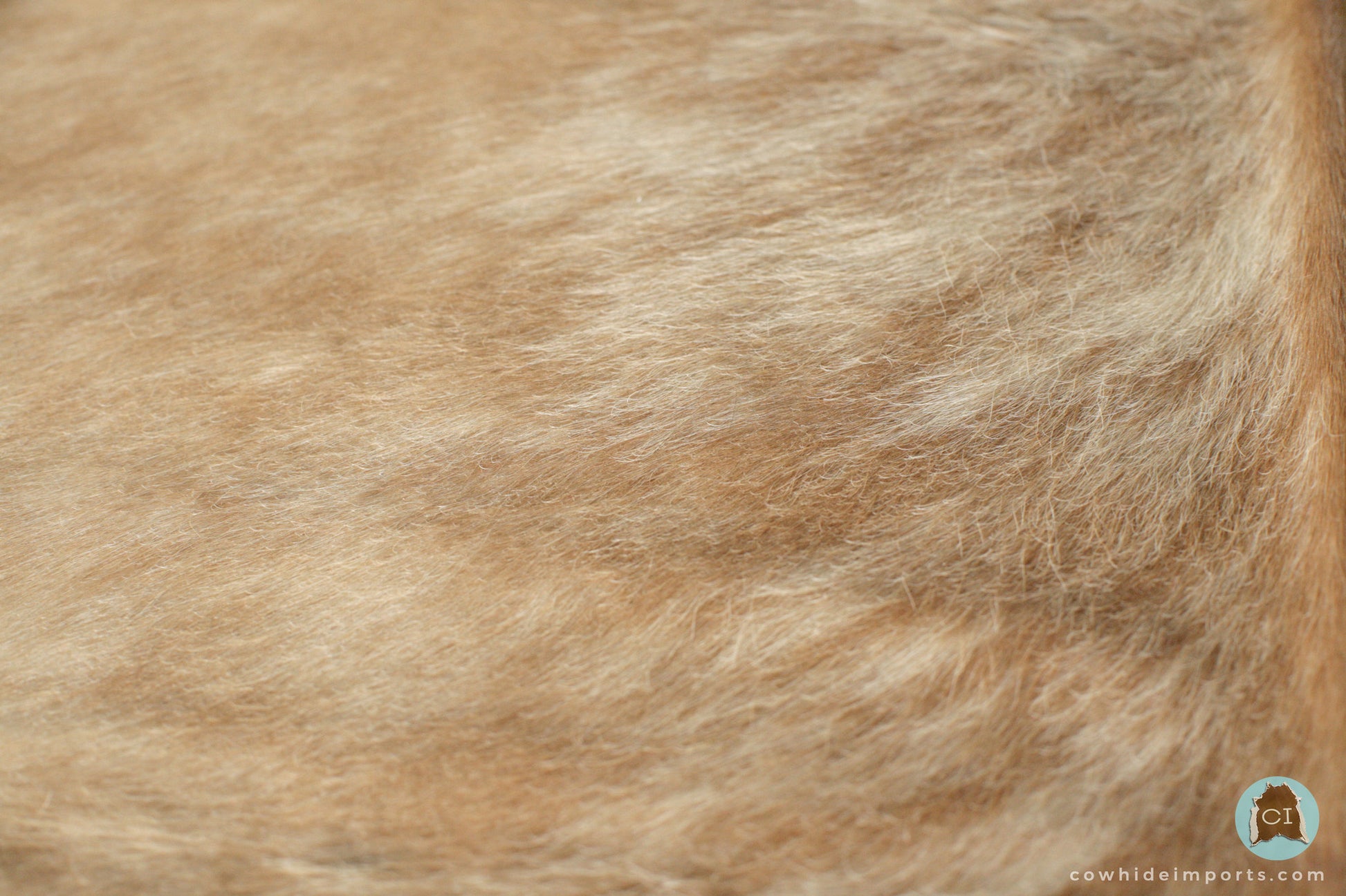 Large Light Brown Brindle Cowhide Rug super close up