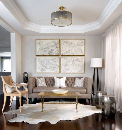 Natural White cowhide rug interior